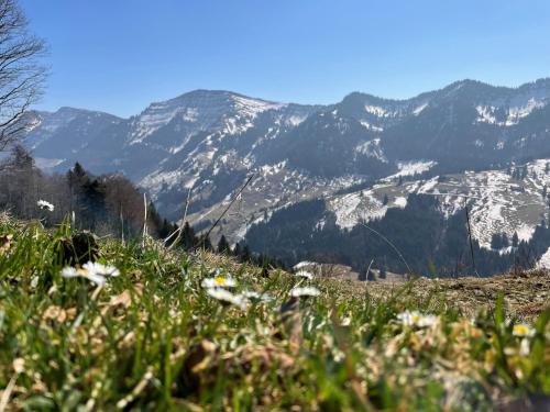 Lindner Hotel Oberstaufen Parkhotel, part of JdV by Hyatt