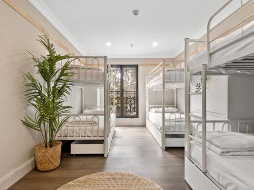Guestroom, VENUS Surry Hills - FEMALE ONLY Hostel - Long Stays Negotiable in Darlinghurst