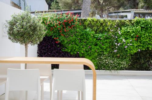 Hotel Anfora Ibiza - image 8