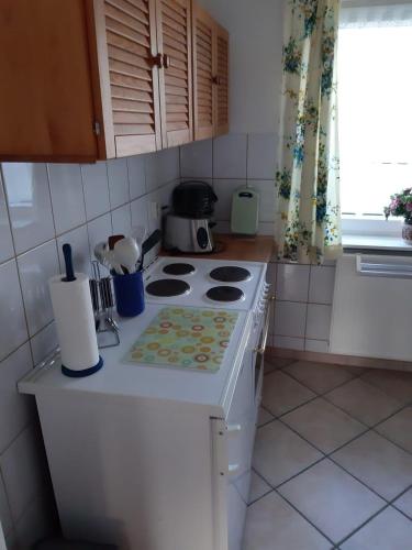 Haus-Halliger-Appartment-Pauline - image 3