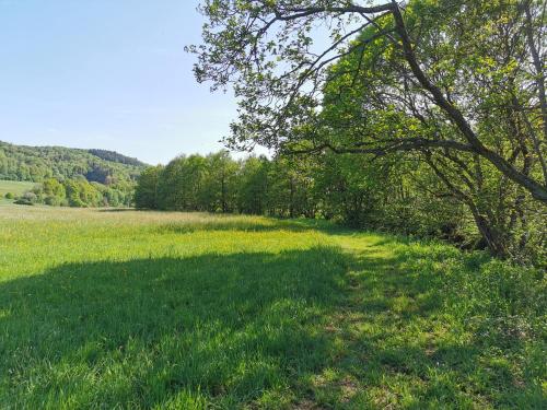 Die Ferienwohnungen Schmiede und Gudd Stuvv in Annis Haus