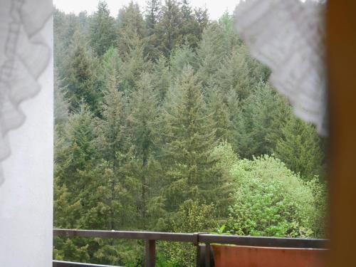 Seebach-Hotel - image 7