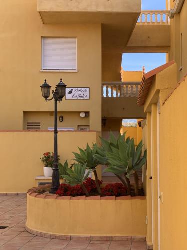 Kione Anamar - image 3