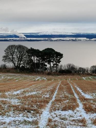 Black Isle Bed and Breakfast