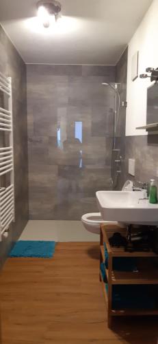 浴室, Ferienwohnung Hufeisen ebenerdig in 霍普芬勞