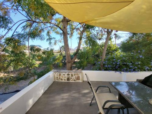  Black Fig in Pollonia