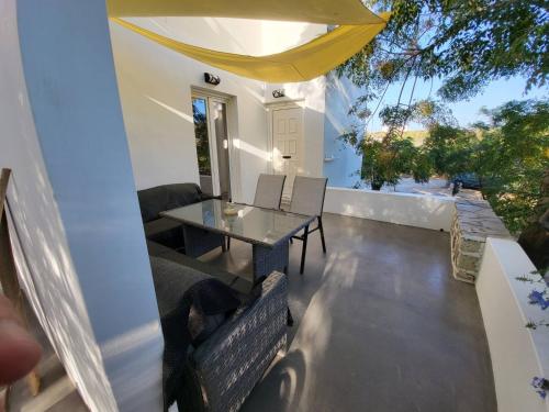  Black Fig in Pollonia