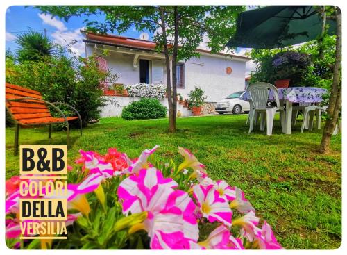 colori della versilia - Accommodation - Montignoso