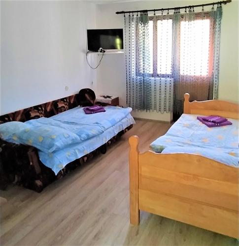 Vila Rajski cvet - image 14