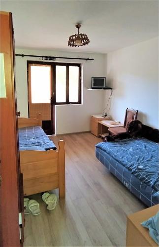 Vila Rajski cvet - image 8
