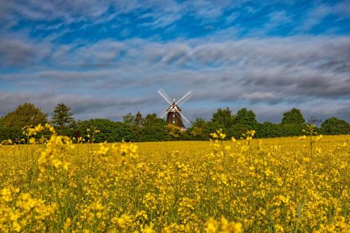 Mühlenblick in Klütz, Deutschland