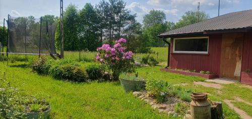 Agroturystyka ,, Na Zadupiu,,, Raźny (фото 3)