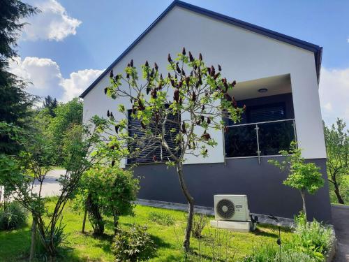 House Under The Maple Tree