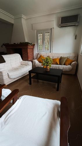 Villa Moiko in La Parra (Castile and Leon)