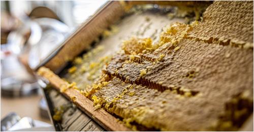 Cala di Sole - image 9