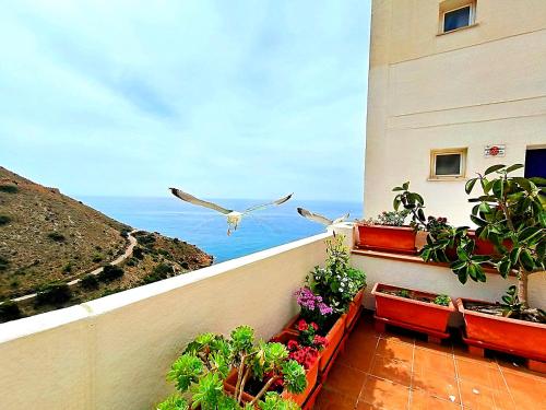 Stunning Two level apartment in Benidorm Villa Marina - Tap to explore photos