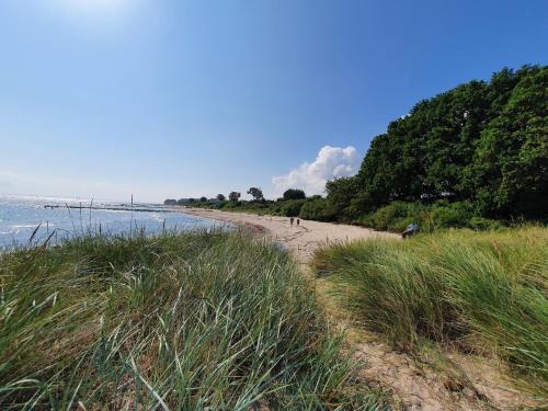 Campingland Ostsee - Mobilheim 77Steinküste