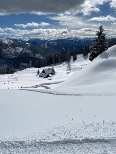 Jörgenbauerhütte