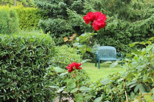 Ferienwohnung Bädke (Ferienwohnung Badke) in Fassberg