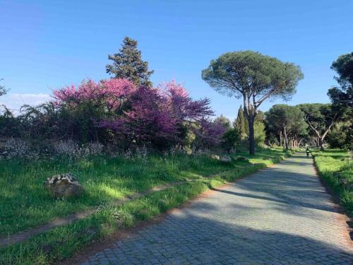  Il Torraccio - Appartamento indipendente in Villa in Marino