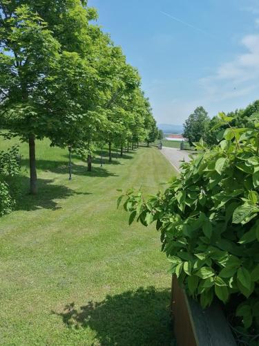 Ferienwohnung Schuhmann mit Wintergarten und Garten Therme Aquapulco und IKUNA Erlebnispark, ZOO Schmiding 20 min mit Auto entfernt AB 3 NÄCHTE BUCHBAR