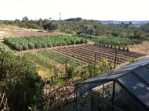 Catalunya Casas Rural charm on an olive farm in Costa Dorada!