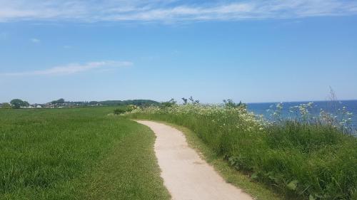 Campingland Ostsee - Mobilheim 155Meerluft