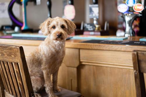 Masons Arms - image 14