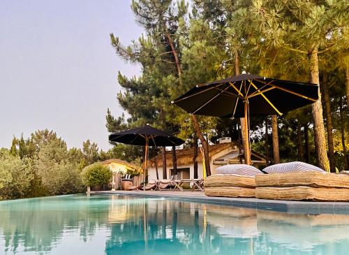 Cabana Lavanda Comporta