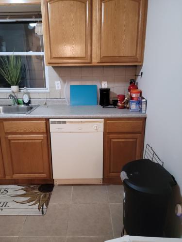 Daphy Ruby Stays in Newark, USA