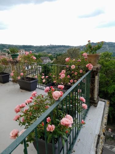  A casa di Cora in Arpino