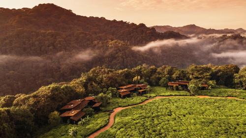 462528487 One&Only Nyungwe House
