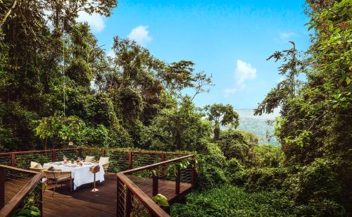 462528501 One&Only Nyungwe House