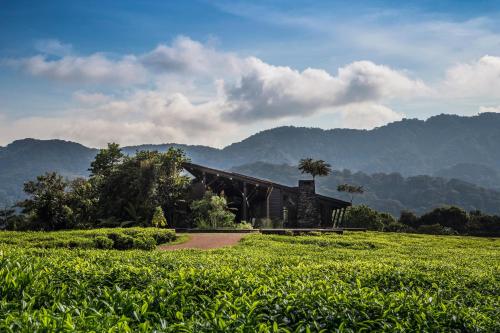 462528547 One&Only Nyungwe House