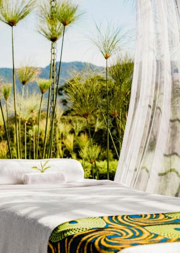 462528557 One&Only Nyungwe House