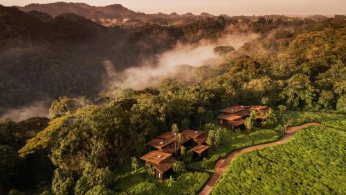 462528569 One&Only Nyungwe House