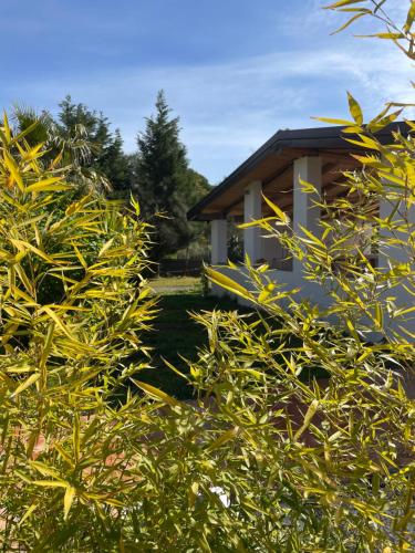 etna petit resort - image 12