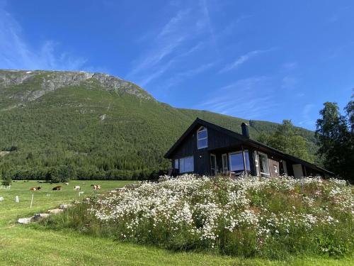 Heinåli Hytta - Chalet - Isfjorden