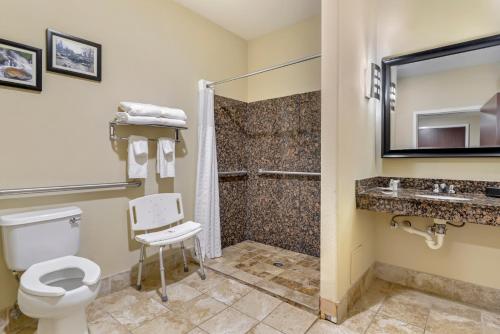 Comfort Suites at Kennesaw State University - image 9