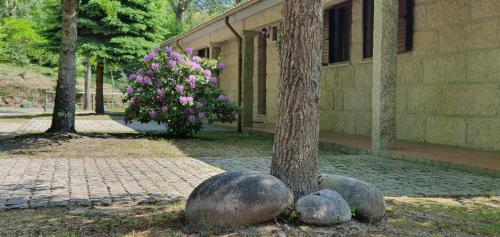 Bungalows - Serra do Gerês