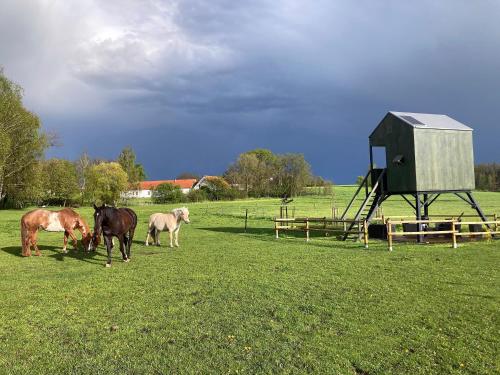 ranč JEZINKA, ubytování na posedu