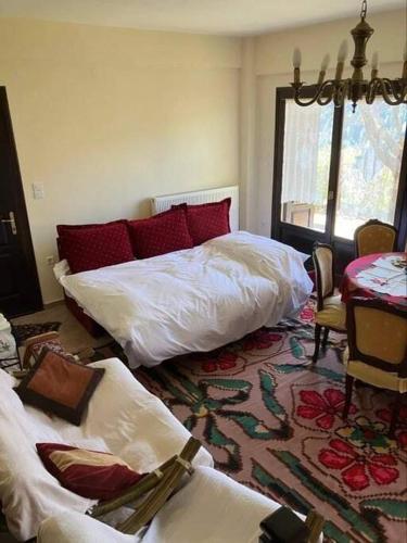 Ανάμεσα στα Έλατα (Αναμεσα στα Ελατα) in Zarouhla