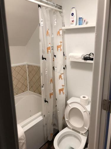 Entire detached 3-bedrooms cute home in Cornwall area