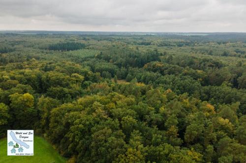 周邊環境, Wald und See Dargun 16B in 達爾貢