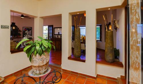 Villa Monte, Sayulita (fotografie 5)