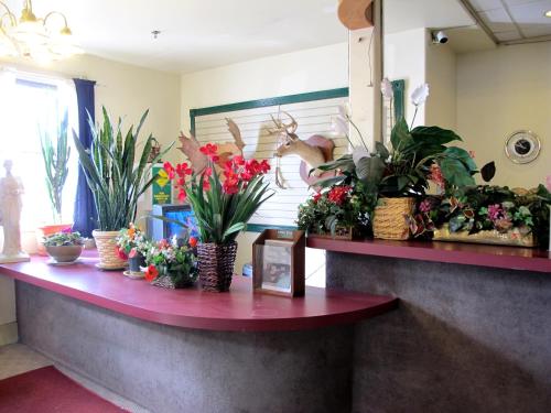 Chelsea Inn Hotel