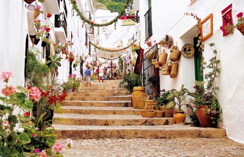 Hotel Rural Almazara - image 28