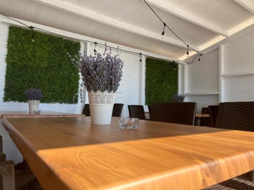 Atena Hotel Costinesti 3