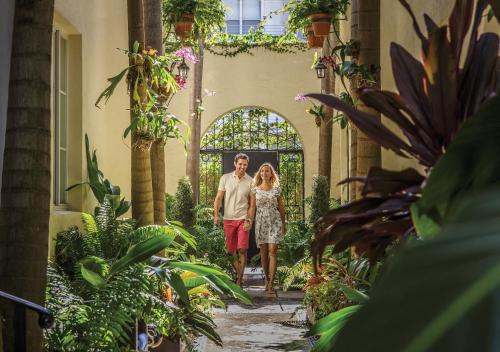 Orchid House