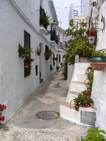 Hotel Rural Almazara - image 30